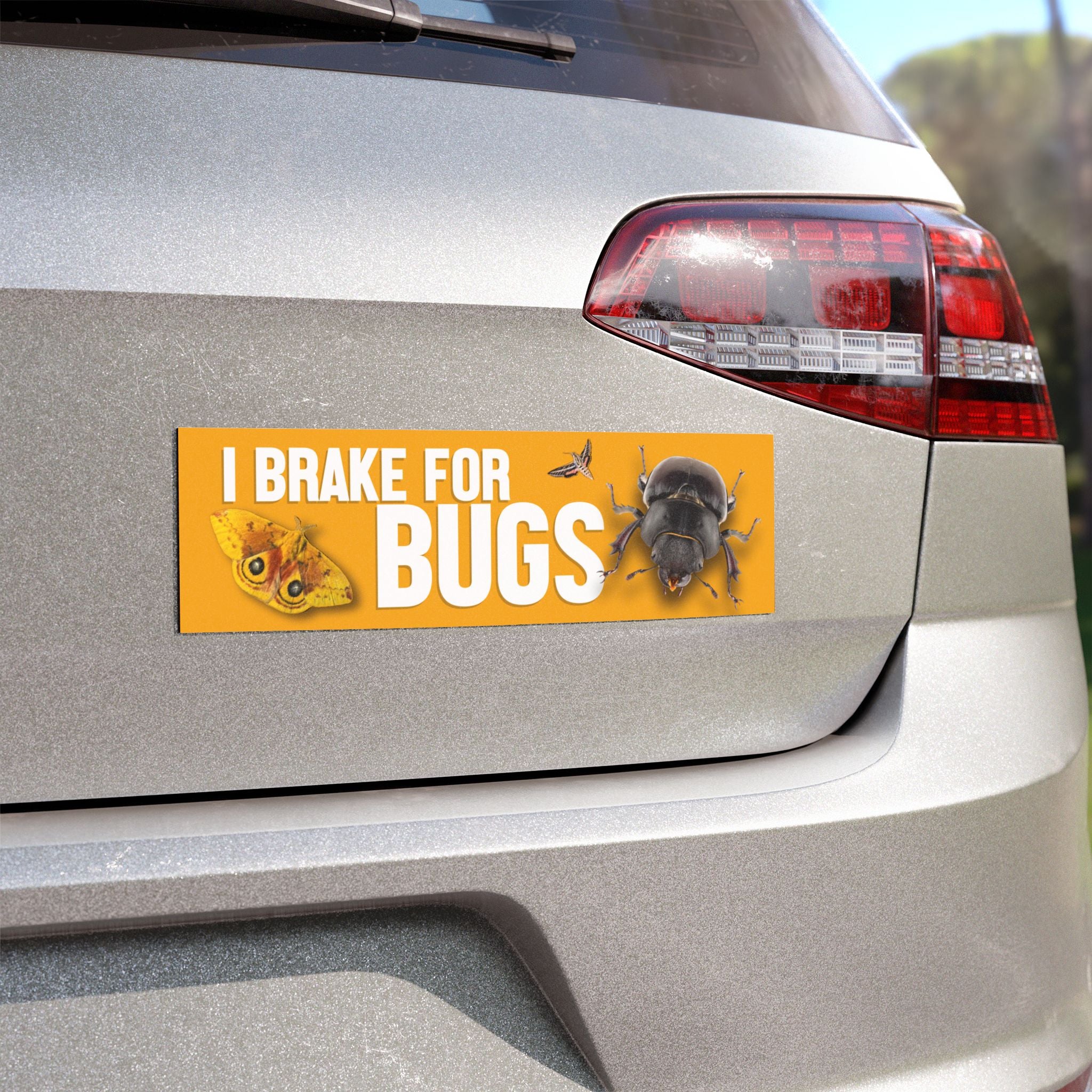 I Brake for Bugs Car Magnet — Funny Insect Lover Bumper Sticker Magnet