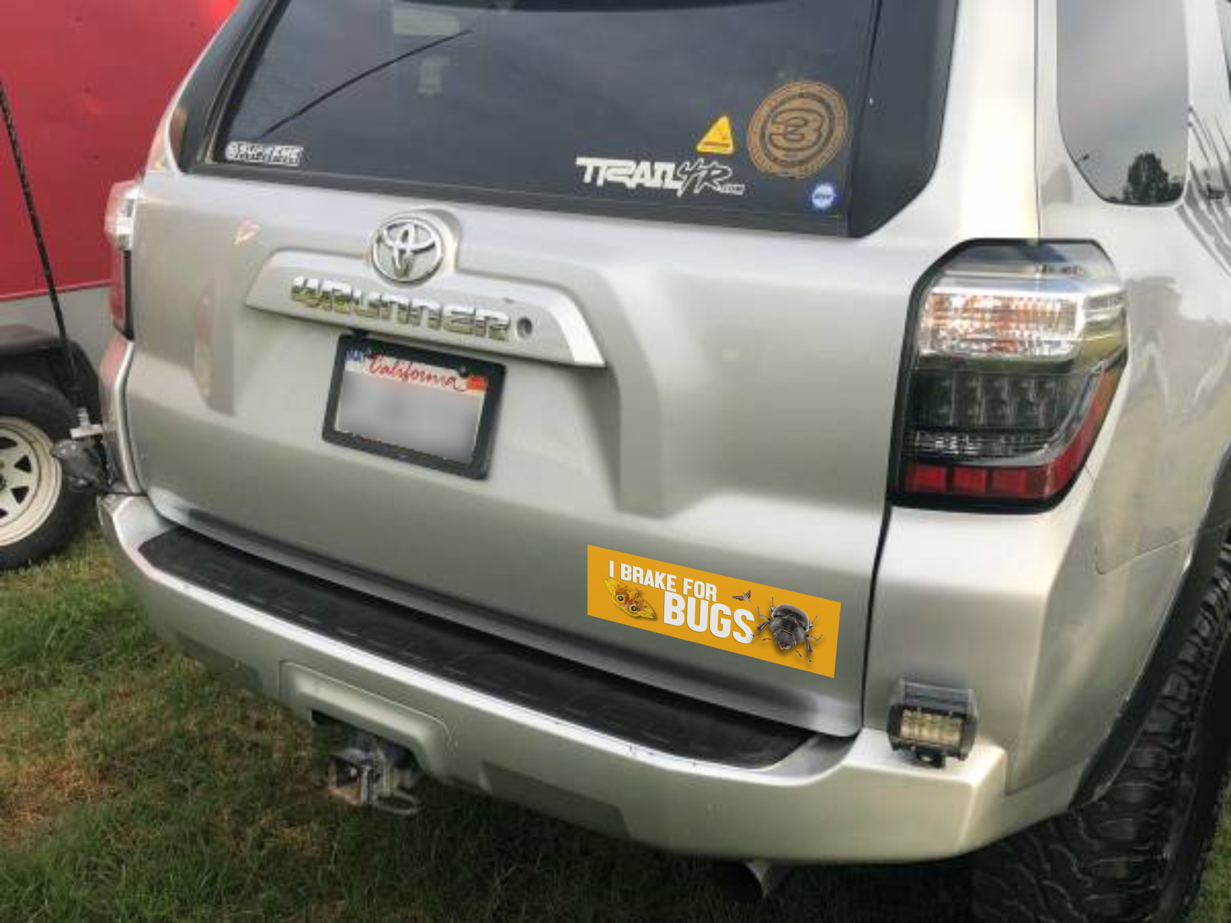 I Brake for Bugs Car Magnet — Funny Insect Lover Bumper Sticker Magnet